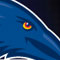 Matchday_Saints_60.jpg